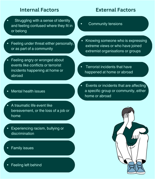 Internal vs external factors to radicalisation